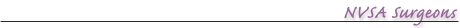 Heading: NVSA Surgeions